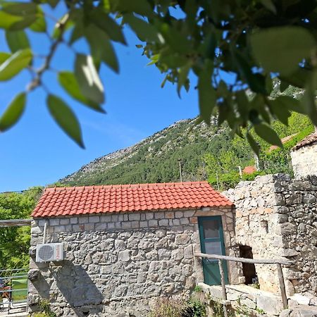 Cottage Melita The Apartment For Animal Lovers Babino Polje Екстер'єр фото