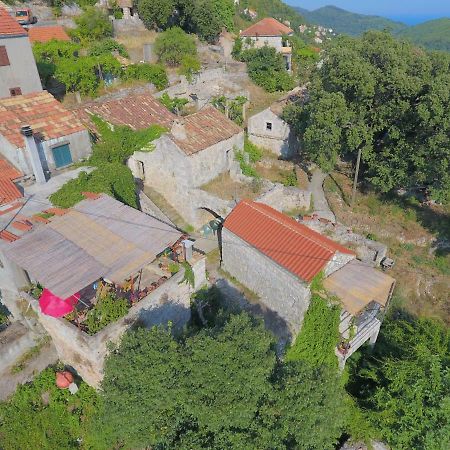 Cottage Melita The Apartment For Animal Lovers Babino Polje Екстер'єр фото