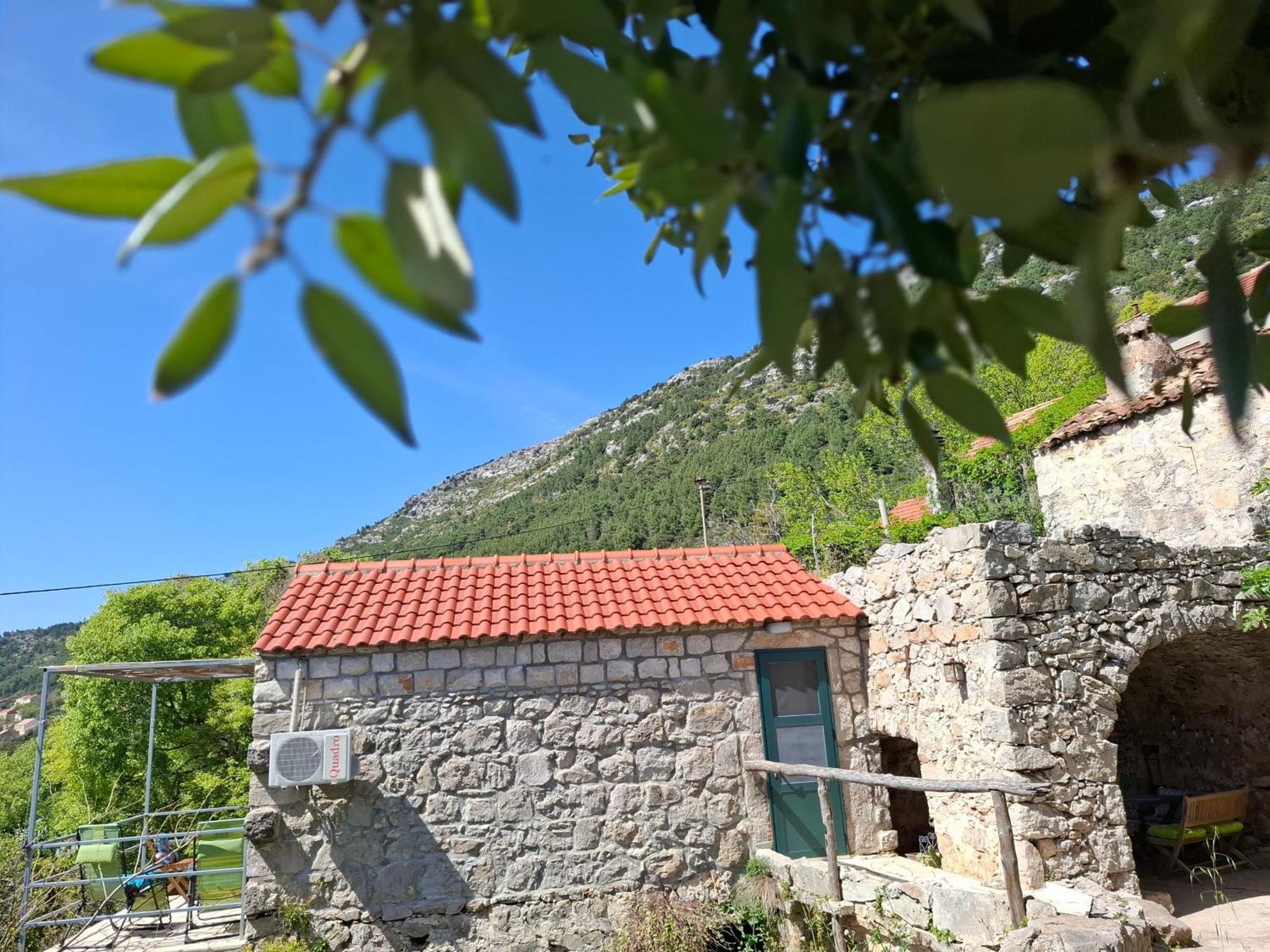 Cottage Melita The Apartment For Animal Lovers Babino Polje Екстер'єр фото