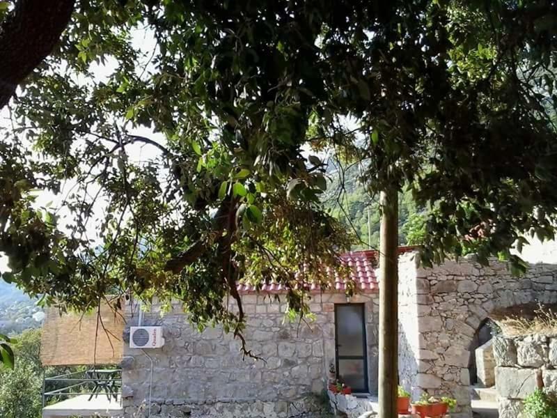 Cottage Melita The Apartment For Animal Lovers Babino Polje Екстер'єр фото