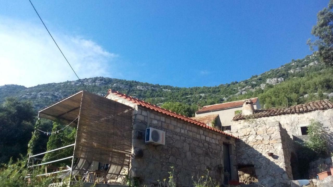 Cottage Melita The Apartment For Animal Lovers Babino Polje Екстер'єр фото