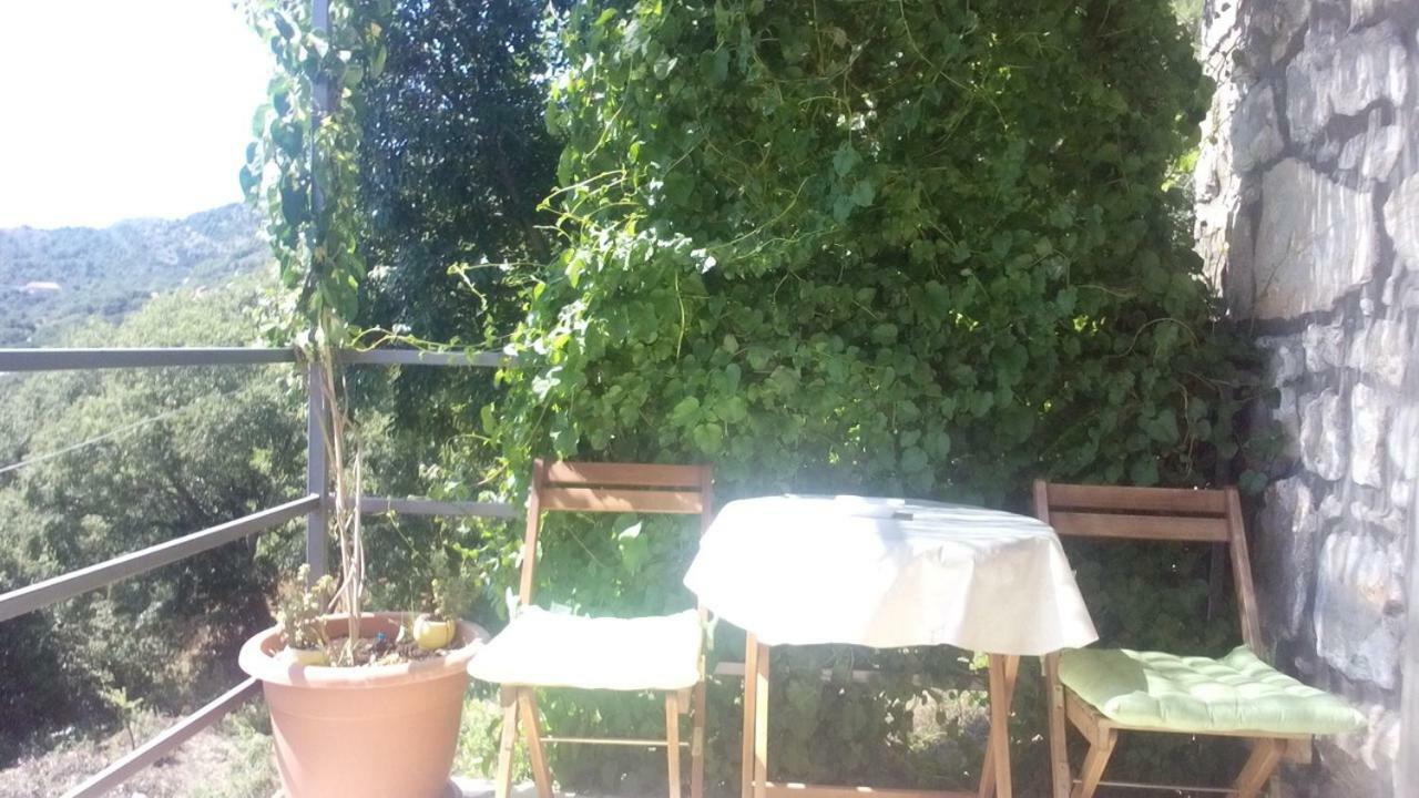 Cottage Melita The Apartment For Animal Lovers Babino Polje Екстер'єр фото
