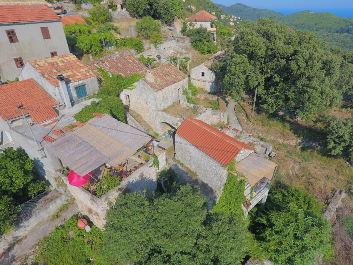 Cottage Melita The Apartment For Animal Lovers Babino Polje Екстер'єр фото