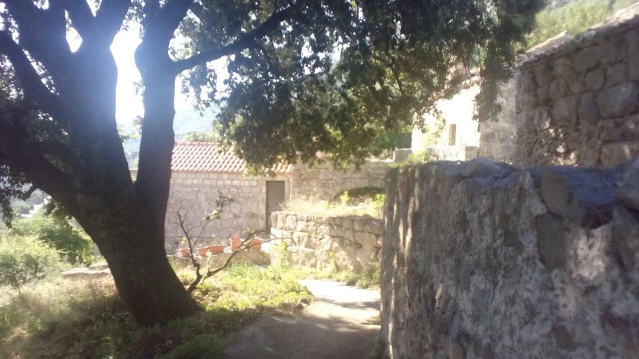 Cottage Melita The Apartment For Animal Lovers Babino Polje Екстер'єр фото