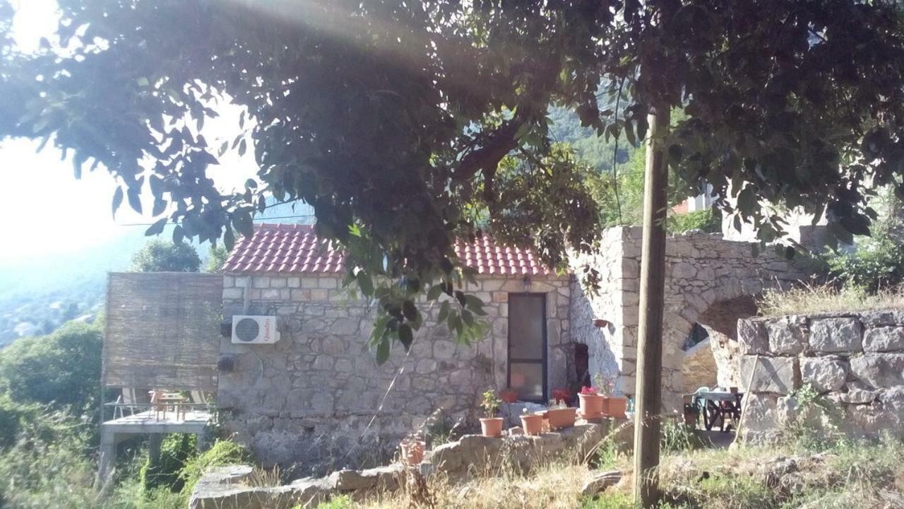 Cottage Melita The Apartment For Animal Lovers Babino Polje Екстер'єр фото