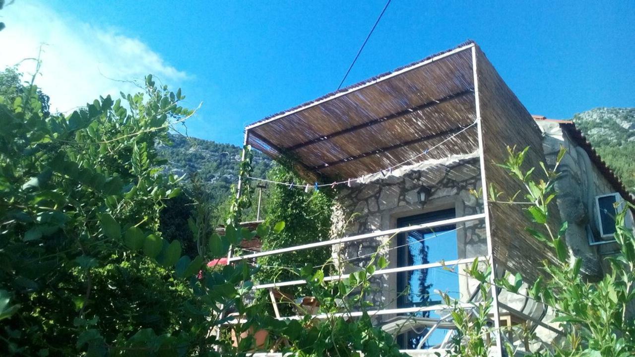Cottage Melita The Apartment For Animal Lovers Babino Polje Екстер'єр фото