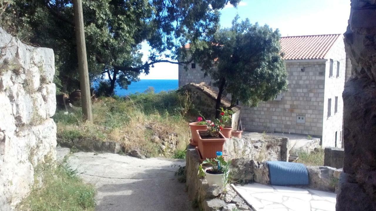 Cottage Melita The Apartment For Animal Lovers Babino Polje Екстер'єр фото