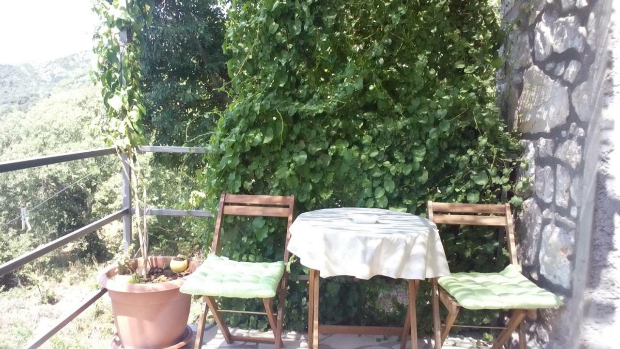 Cottage Melita The Apartment For Animal Lovers Babino Polje Екстер'єр фото