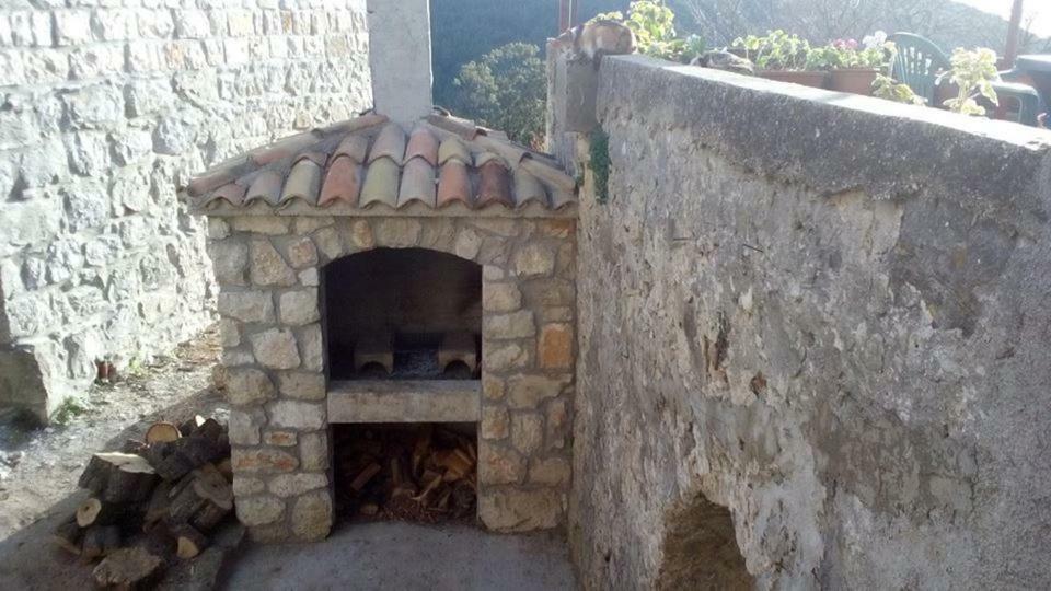 Cottage Melita The Apartment For Animal Lovers Babino Polje Екстер'єр фото
