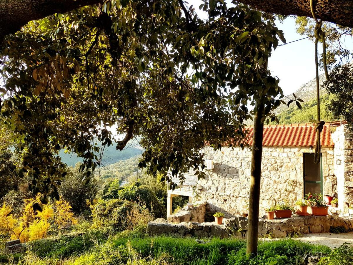 Cottage Melita The Apartment For Animal Lovers Babino Polje Екстер'єр фото