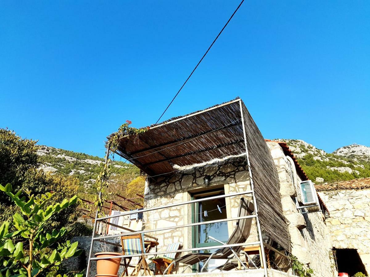 Cottage Melita The Apartment For Animal Lovers Babino Polje Екстер'єр фото