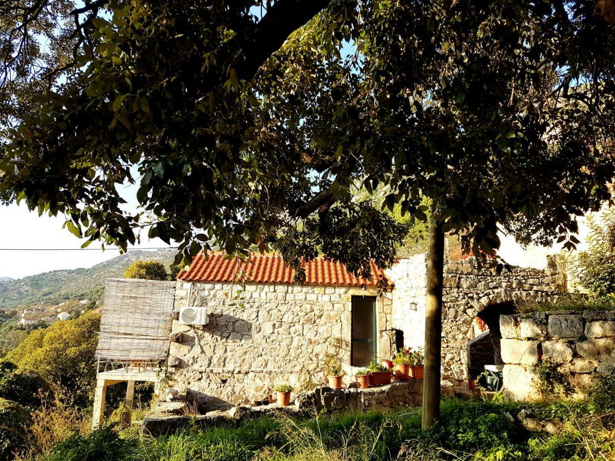 Cottage Melita The Apartment For Animal Lovers Babino Polje Екстер'єр фото